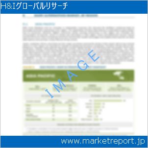 市場と産業調査レポートのイメージ